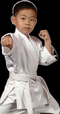 JUNIOR DRAGONS KARATE & KICKBOXING SUCCESS FOR LIFE PROGRAMMES Specifically Designed