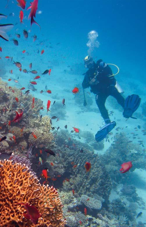 SCUBA DIVING PREBOOKING LIST _03 Confirmed Diver Autonomous 10 DIVES PACKAGE_6 days 10 dives incl. boat trips. tank and weights only. Equipment not inclusive _Min. length of stay 7 days _Min.