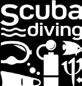 age 18 years old 5 DIVES PADI SCUBA DIVER_5days 3 lagoon dives, 2 boat dives incl. Boat trips. Equipment inclusive. 3 theory lessons included.