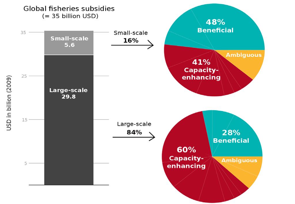 Fisheries subsidies Small versus large scale