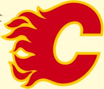 Calgary Flames Record: 43-30-11-97 Points 2nd Place - Smythe Division Lost - Smythe