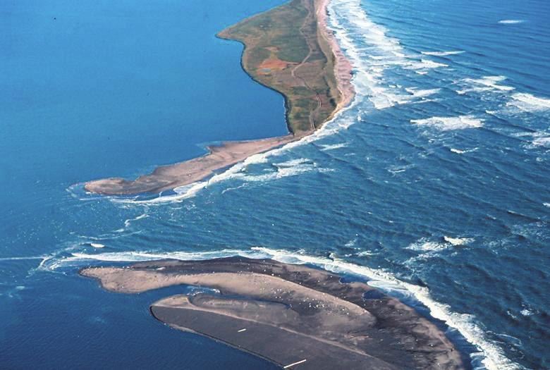 Field Guide for Tidal Inlet Protection Strategies (TIPS) Introduction Tidal inlets occur along most barrier coasts and therefore these dynamic systems must be considered separately when designing an