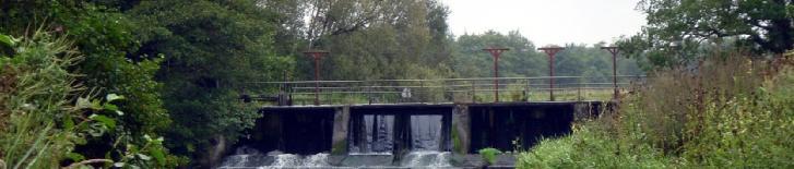 Loss of smolts in reservoirs