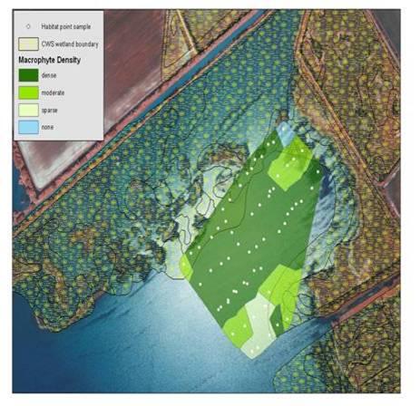 Habitat Surveys in Submergent Vegetation Lake St.
