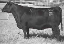 GAR Complete N281 - The $45,000 dam of s 132-135.
