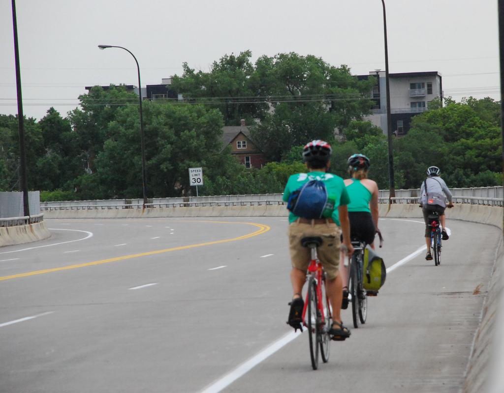 mode share on bridges Bridge Location Bicycles Pedestrians Motor Vehicles Plymouth Avenue 7% 11% 82% Hennepin Avenue 6% 7% 87% 10th Avenue 10% 8% 82% Franklin Avenue 15% 11%