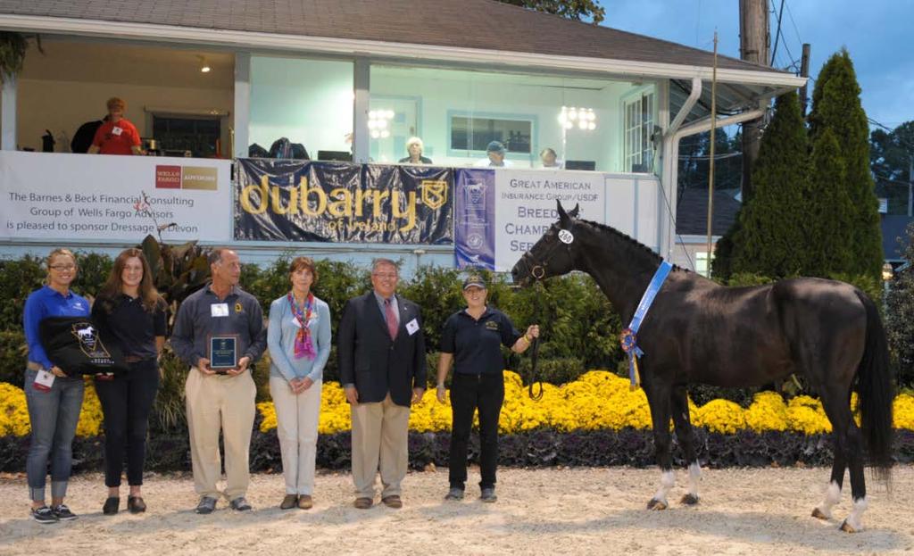 Series Reserve Champion horses are awarded a plaque and a