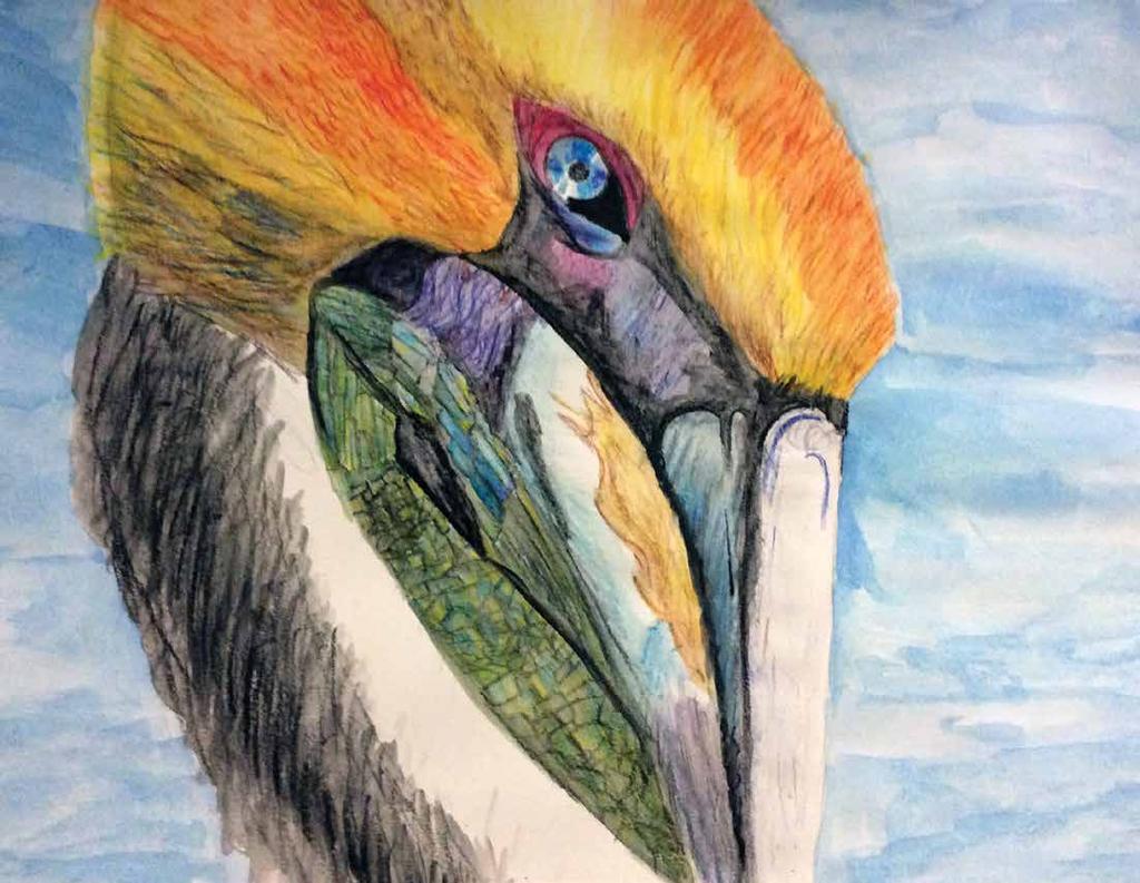 Courtney Matthews, Honorable Mention Grand Lake High School, 8 th grade The pelican, our state bird, reminds me of Louisiana and we have lots of them.