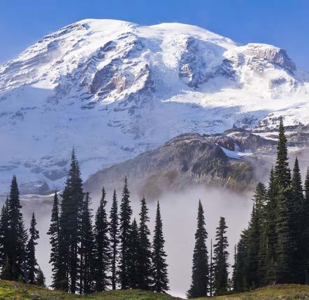 Three national parks Mt. Rainier, North Cascades and Olympic are just two hours away.