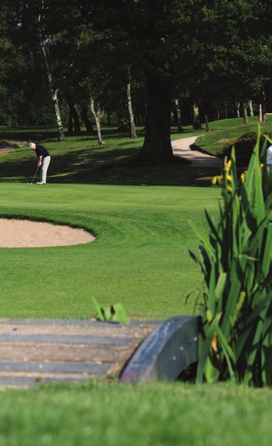 Visitors Olton Golf Club offers a warm welcome to visitors throughout the year.