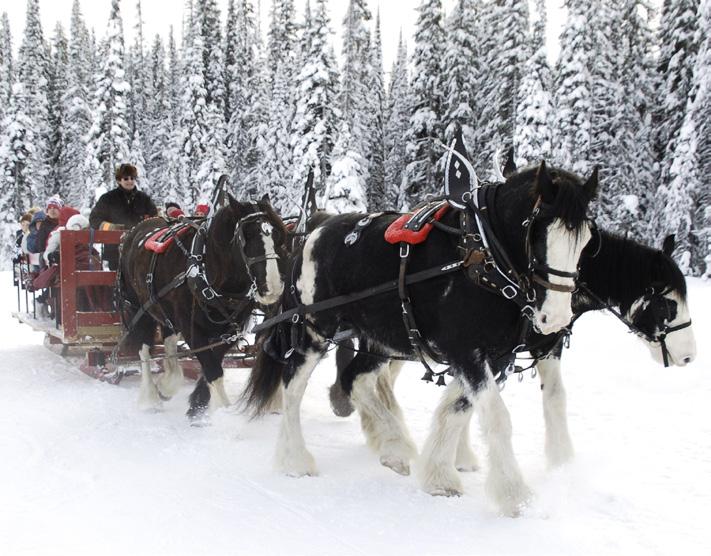 TUBE PASS ICE SKATING sleigh rides per PERSON groups discounted TUBE PASS pricing PASS Age 6+ $18.