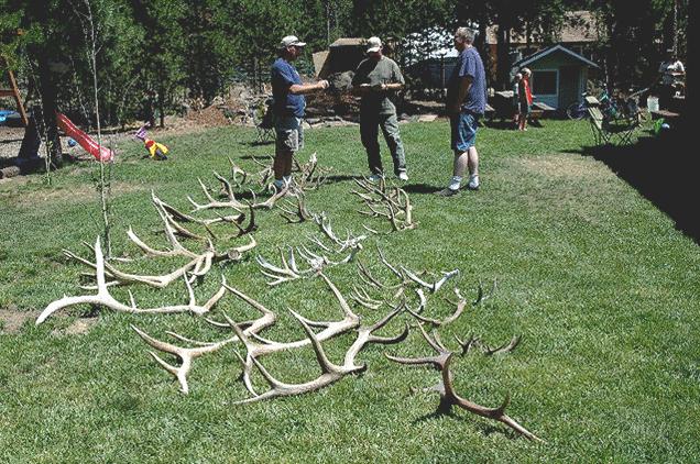 Shed Hunting Tip OSH Record Book Information with a Free offer to all Members Measurers/Scorers in your area If you feel you have a