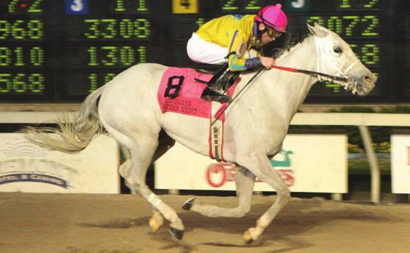 stakes winners in '09-'10 as the veteran gray Twilight Ross captured the $55,000 Gentlemen Starter Stakes on Louisiana Premier Night Twilight Ross' victory came with two-time leading jockey Gerard
