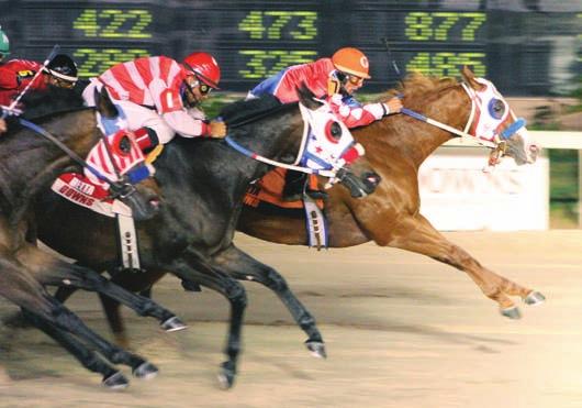 2011 QUARTER HORSE SEASON HIGHLIGHTS LOUISIANA LASSIE AND LADDIE FUTURITY NIGHT Saturday, May 14, 2011 The first major stakes events at Delta Downs each year during the Quarter Horse Season are the