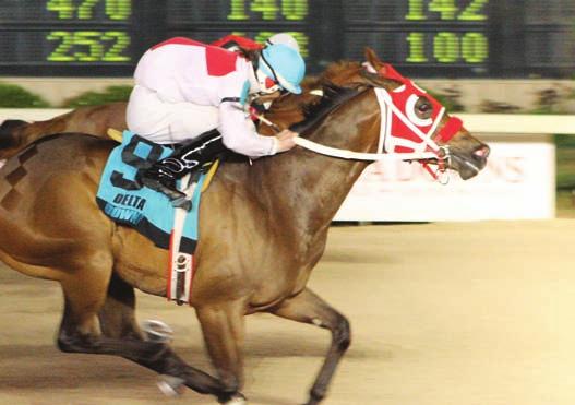 Last year's $206,600 Laddie winner was the gray Eyesa Flash, who was ridden to victory by veteran jockey Donald 'D' Watson, who accepted the mount from trainer Kevin Broussard.
