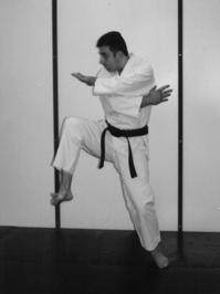 MAWASHIGERI, GYAKUZUKI USHIRO GERI Back kick is performed by twisting the body around from the hips