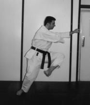 The height of the rest of the kata is now established, and must not be deviated from. 5. 6. 7.