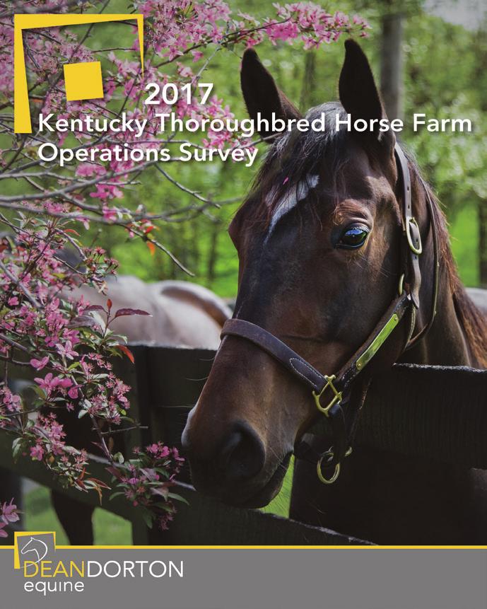 Thoroughbred Business Year in Review 2017 Located in Kentucky, known for its world-class horse farms, racing, and sales, our firm has provided accounting, tax, and business consulting services to the