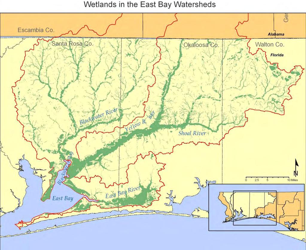 4.0 HABITATS ASSOCIATED WITH THE EAST BAY COMPLEX The East Bay/Blackwater Bay watershed supports a variety of biotic communities and maintains a high level of biodiversity.