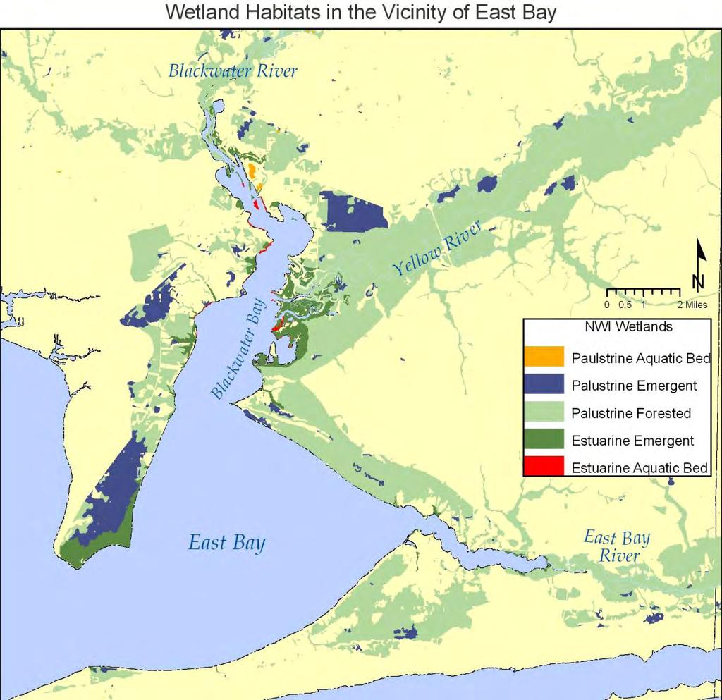 Figure 24. Wetland habitats in the vicinity of East Bay.
