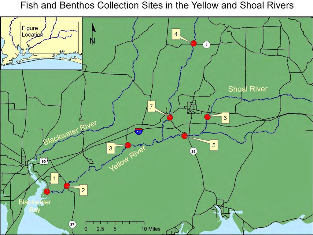 Figure 26. Fish and benthos collection sites in the Yellow and Shoal rivers taken during 1978-1979 by the FFWCC.