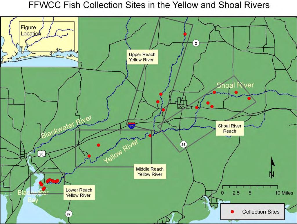 Figure 27. Recent fish collection sites on the Yellow and Shoal rivers, including small tributary streams and creeks.