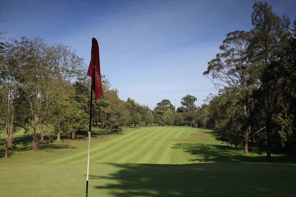 SIGONA COUNTRY CLUB One of the first courses to draw overseas golfers to Kenya, Sigona remains one of the high flyers of African golf and continues to draw unexpected visitors to its fairways.