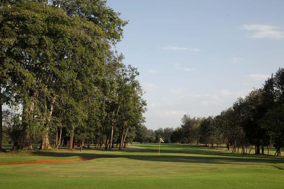 KAREN COUNTRY CLUB With its lush fairways threading through natural woodlands, this stunning course occupies a special place in the heart of historic Kenya on the site of Karen Blixen s famous coffee