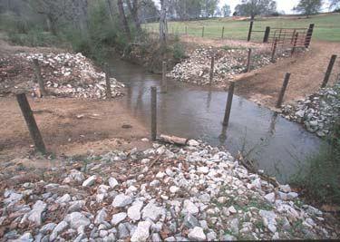 Result of Over feeding protein, Excess nutrients in the manure can negatively affect the fish and aquatic wildlife in streams, ponds, and lakes.