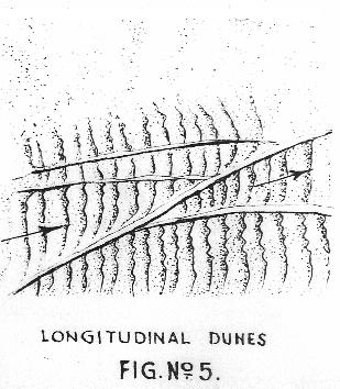 Longitudinal dunes: these dunes are formed when stronger one way wind moves, both fine