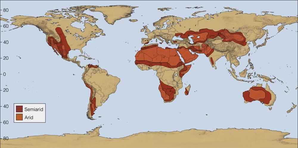 The Distribution of Deserts The remaining deserts are in the middle latitudes, where their distribution is related to the