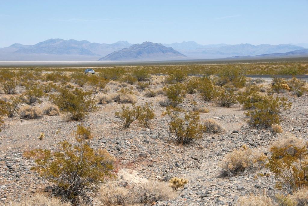 Characteristics of Deserts Temperature, Precipitation, and Vegetation Most deserts are