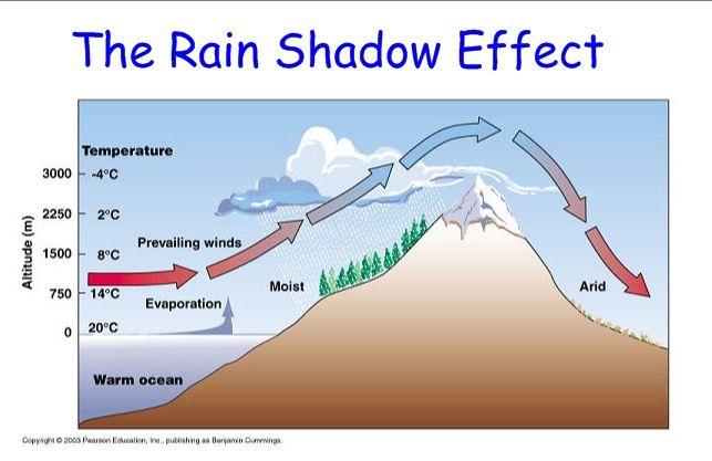 Mountain rain shadow effect What is the cause of this? Don t forget to mention dew point and condensation. Mountain Rain Shadow Effect:As winds move the warm moist air up the mountain it gets colder.