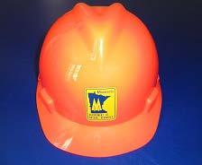 HEAD PROTECTION OSHA says, The employer shall ensure that each affected employee wears a