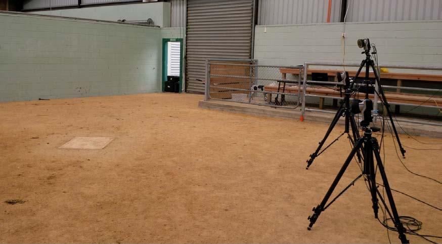 Development of 3D gait model Student: Nicola Wichtel Supervisor: Dr Robert Colborne Equine Trust Summer Scholarship In 2015, The Equine Trust funded the purchase of a 6-camera infrared kinematic