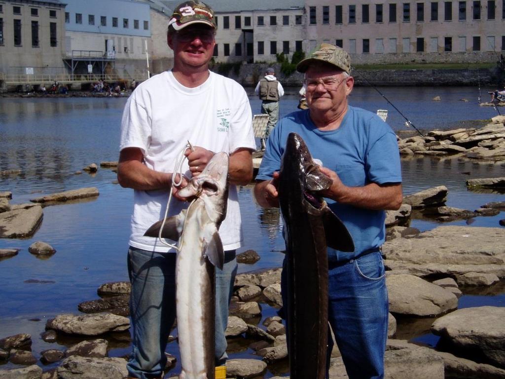 Background Bott et al. 2009 described the genetic assignments of lake sturgeon harvested from the Menominee River.