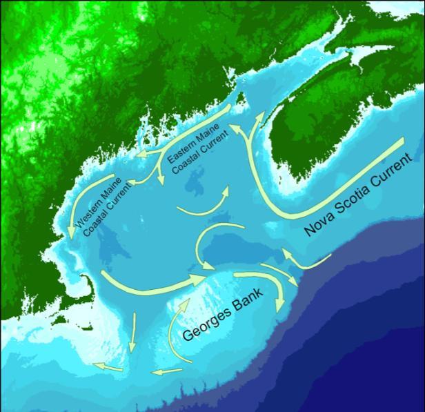 Approach use Gulf of Maine tides http://app2.iris.usm.maine.