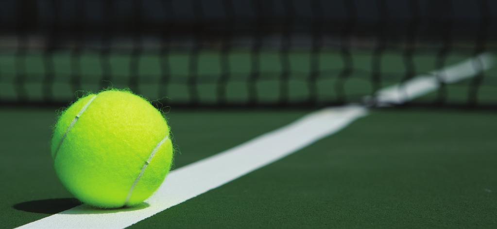 2017 TENNIS LESSONS/TEAMS Tennis Anyone?