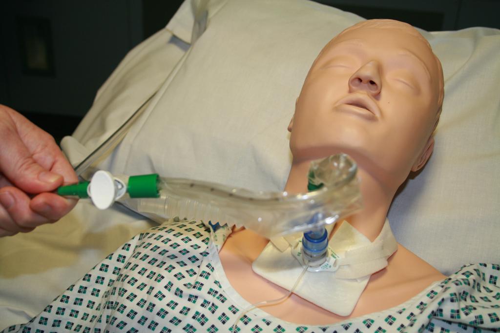 Day-to-day management of Tracheostomies & Laryngectomies will be encountered). The catheter should then be withdrawn slightly before suction in commenced.