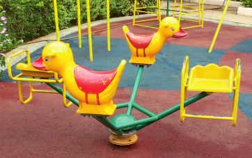 Dia Play Area : 8 Ft. Dia Ideal for : 5-14 Yrs.