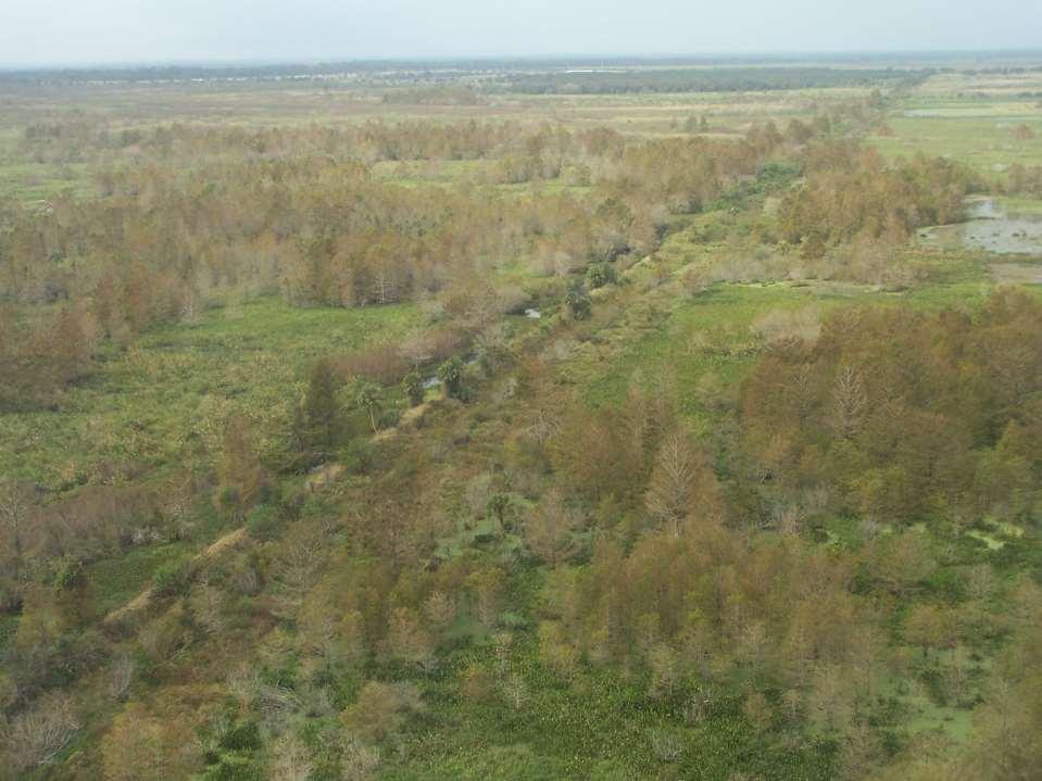 Situation 3,700 acres of marsh and cypress strand habitat presently closed to public use Bounded by two roads and the C-38 Canal / Kissimmee River 30 adjacent