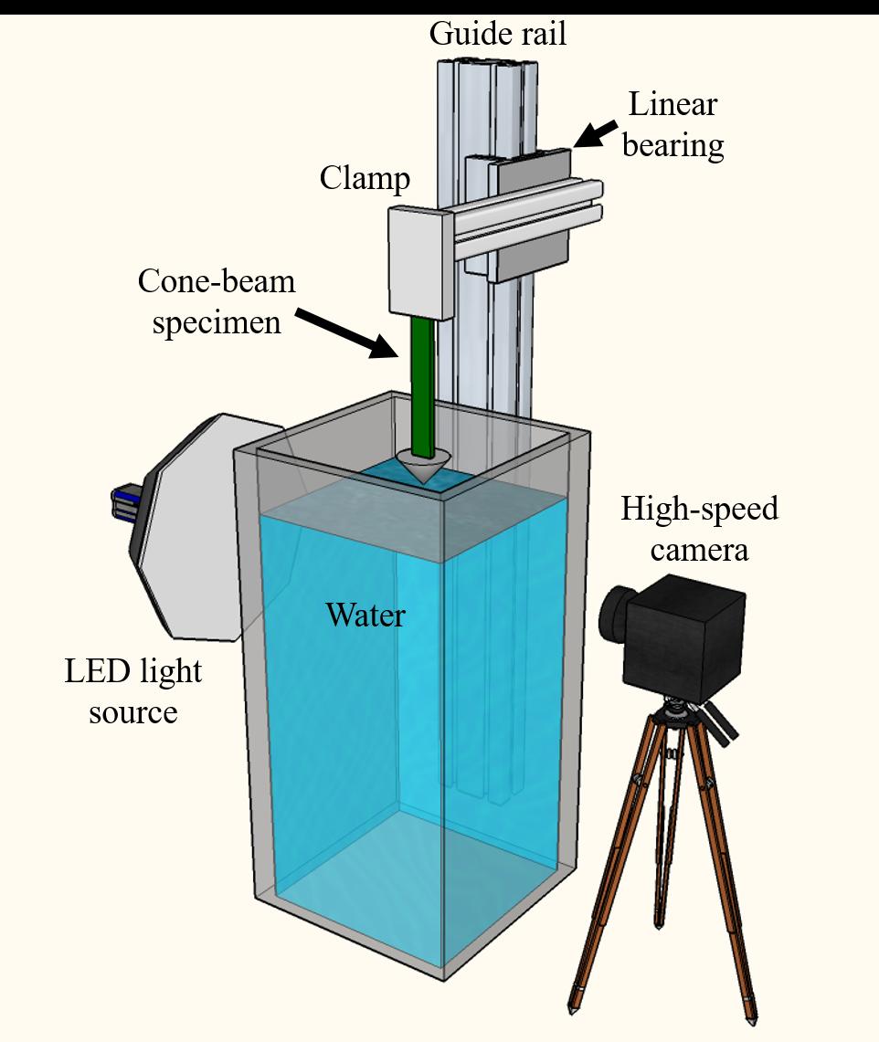 Fig. S5. Experimental setup for the cone-beam drop tests (not to scale). A clamp secures the free-end of the cone-beam specimen (providing a fixed boundary condition).