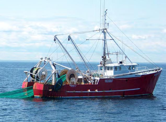 Commercial Fisheries and Seafood Industry Highlights The Commercial Fisheries and Seafood Industry section reports on the impact of fishermen who sell their catch for profit.