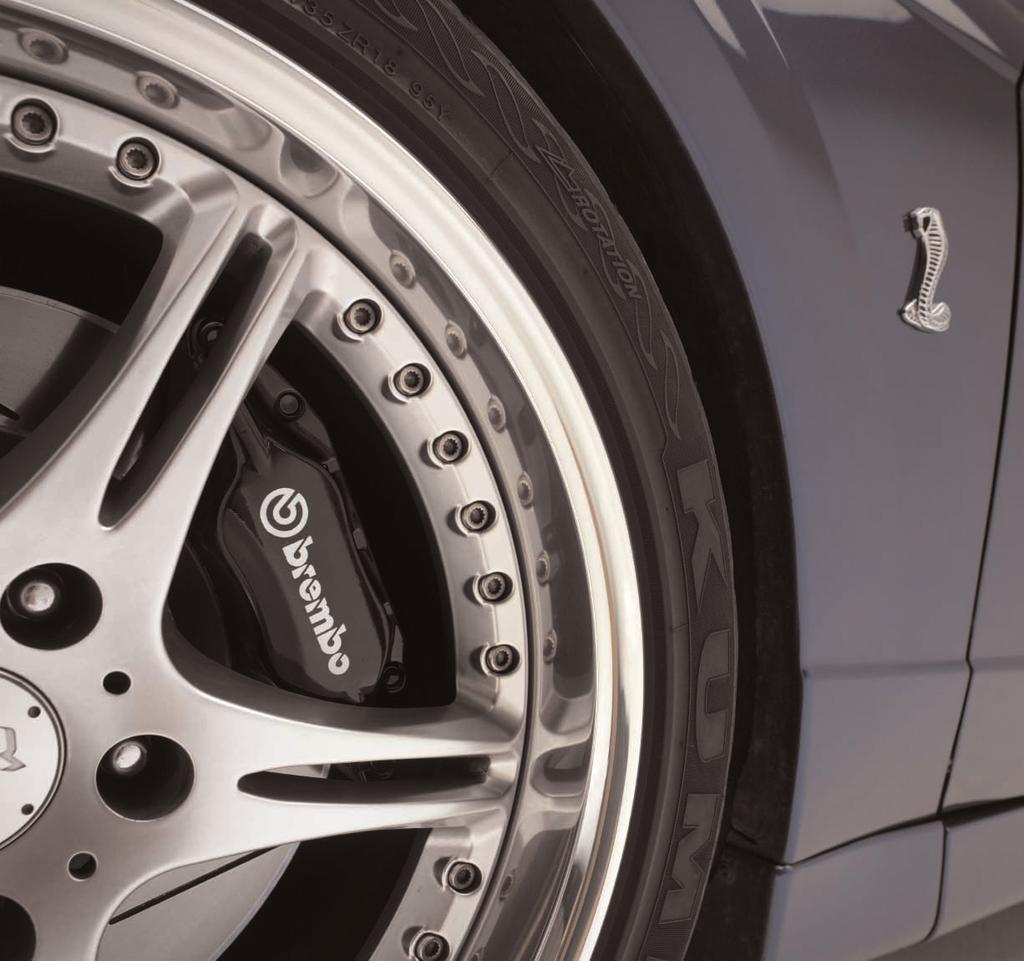 brake upgrade. Includes oversized calipers and rotors for increased brake torque and thermal capacity. These performance upgrades are available for many European, domestic and import vehicles.