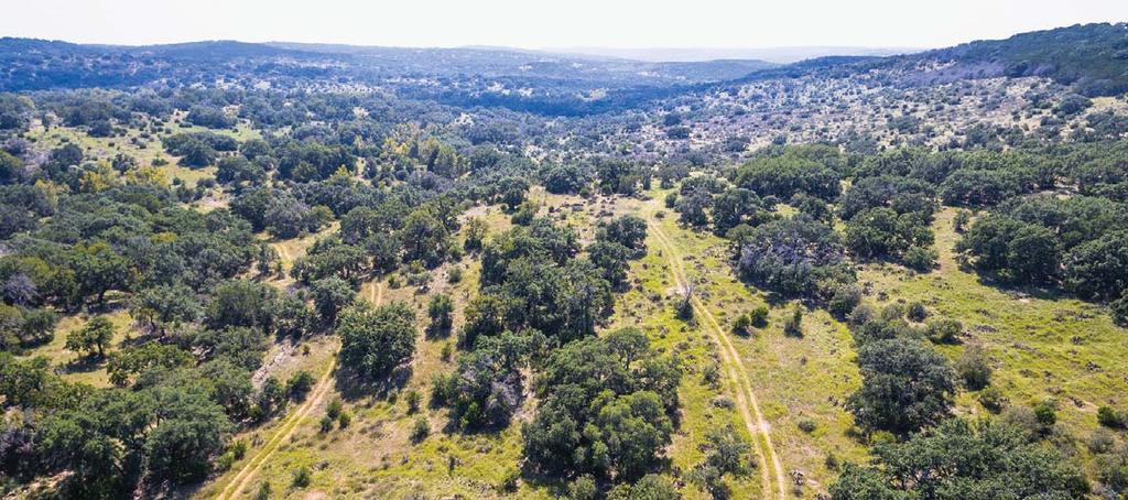 cedar and live oak including Greenwood and Simpson Creeks. The brush and tree cover is scattered to fairly dense.