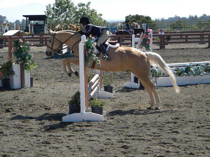 One of the main things I have learned from competitive horseback riding is the inevitability of failure.