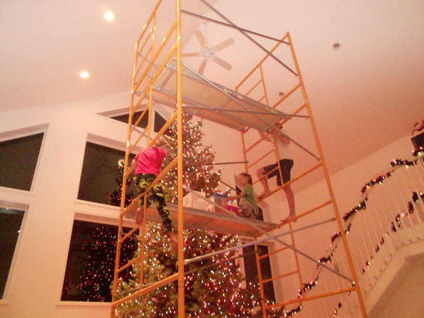 Now that it's up how do you decorate a 24 foot tree? One foot at a time.