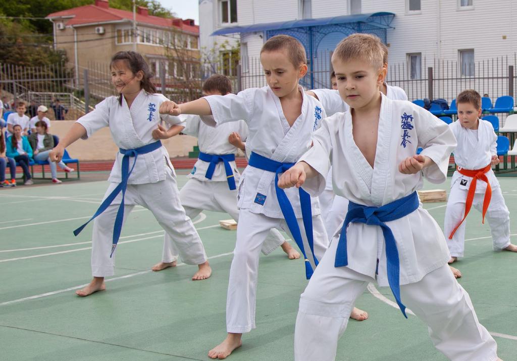 Karate is another traditional style from Japan and is the classic martial art. This practice is highly traditional and holds on to all the old school beliefs.