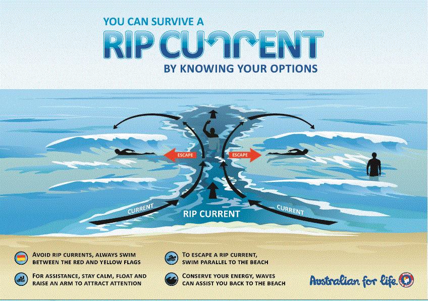Drownings 2/06/2011 Year 2. What is a rip? How do I spot a rip? How do I survive a rip?