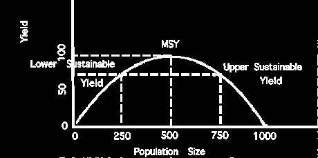 Theory of sustainable harvesting: Maximum Sustained Yield The idea is that when fish populations are reduced from their carrying capacity, they will reproduce at a faster rate (because there are more